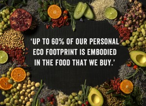 eco-footprint-image